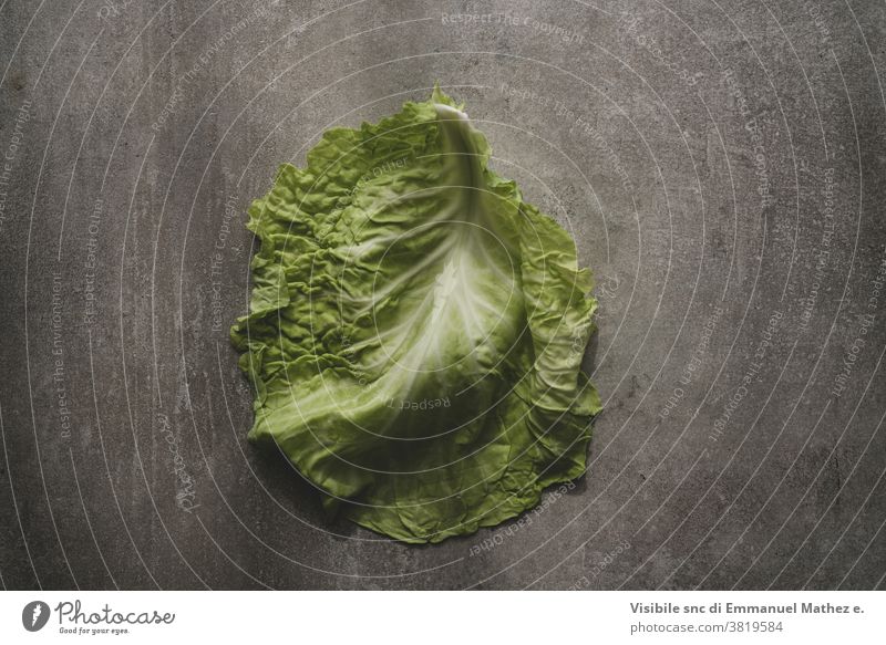 cabbage leaf on gray concrete background diet raw vegetable organic fresh nature vegetarian white agriculture ingredient green food salad isolated plant cooking