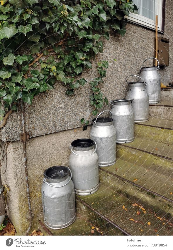 Old dented tin cans stand on a stone staircase in front of an ivy-covered house. Milk churn Colour photo Deserted Jug Exterior shot Retro handle lid Kitchen Tin