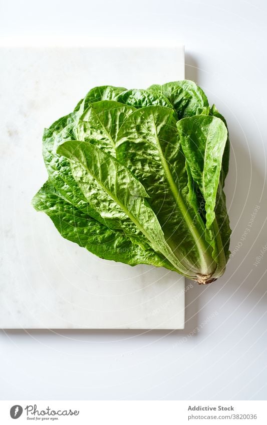 A head of fresh romaine salad food organic ingredient healthy vegetable green natural vegetarian lettuce leaf raw plant agriculture freshness diet nature eating