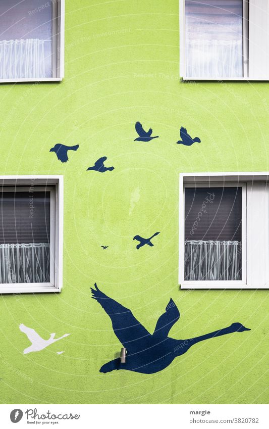 kunst am bau | The migratory birds gather House (Residential Structure) Window Curtain Paintings & Drawings Painting and drawing (object) Wall (building) geese