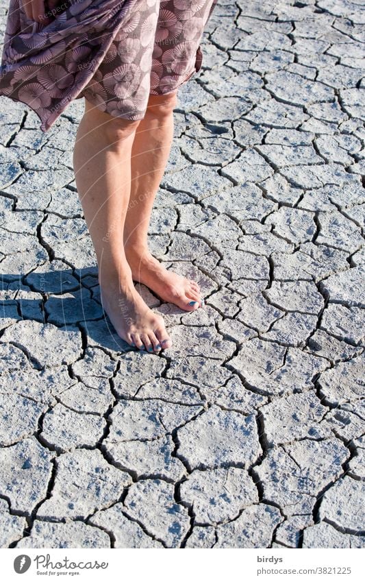 Woman stands barefoot on dry ground, earth torn open by drought Barefoot aridity Drought ardor Climate change Global warming Dry Ground dry cracks Hot Legs feet