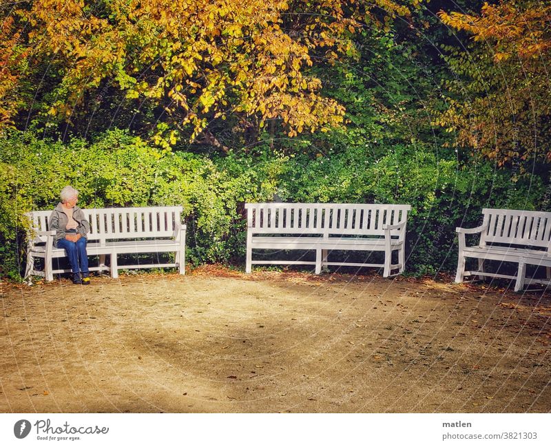 autumn Bench Sit Senior# Tree foliage variegated Park on one's own Gravel Autumn Day