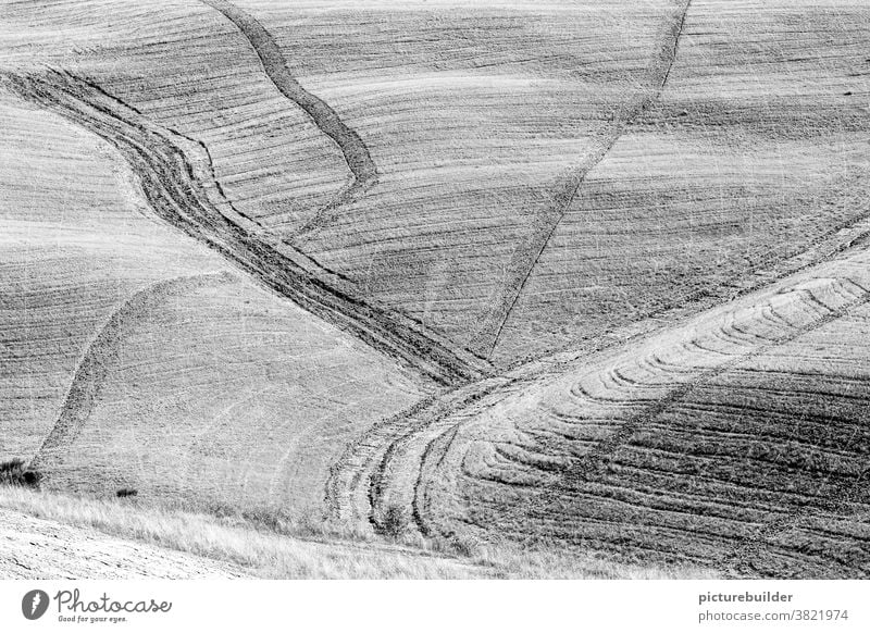 Paths in the field in black and white Field Hill acre Tuscany Landscape Deserted Beautiful weather Exterior shot Lanes & trails Agriculture Day