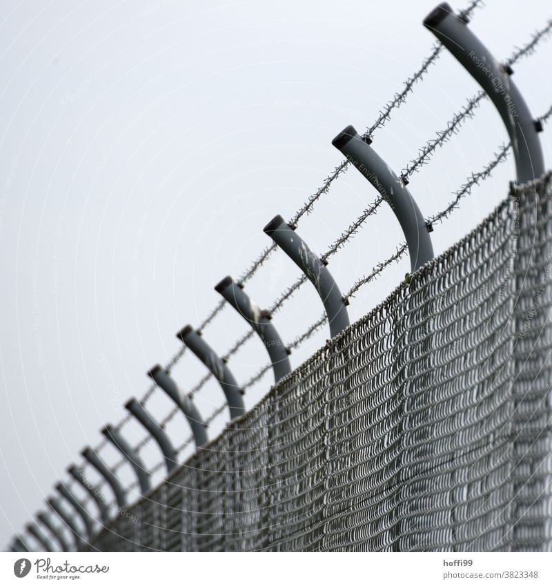 Barbe wire fence Barbed wire Fence Barbed wire fence Metal Threat Thorny Freedom Crisis Mistrust Wire fence Border captivity Animosity Aggression ostracizing