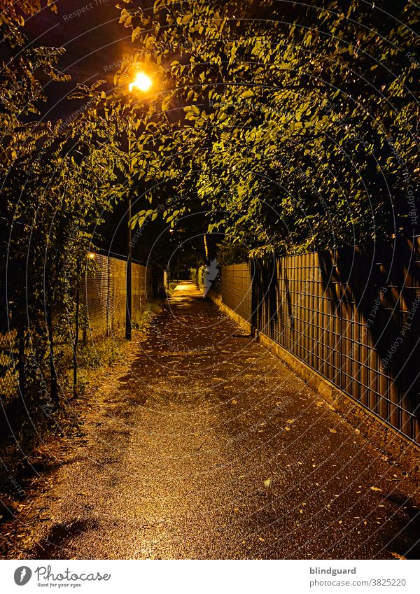 Through this hollow alley he will come ... whoever ... whenever off Dark Street lighting Evening Night Fear awe Stalker trees Fences Threat Artificial light