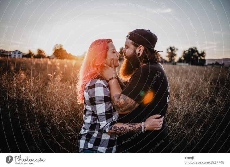 young couple with tattoos and pink hair jungles teen Couple Love In love hug Sunset out Field Cornfield Tattoo heartfelt Cuddling Hip & trendy Hipster Man Woman