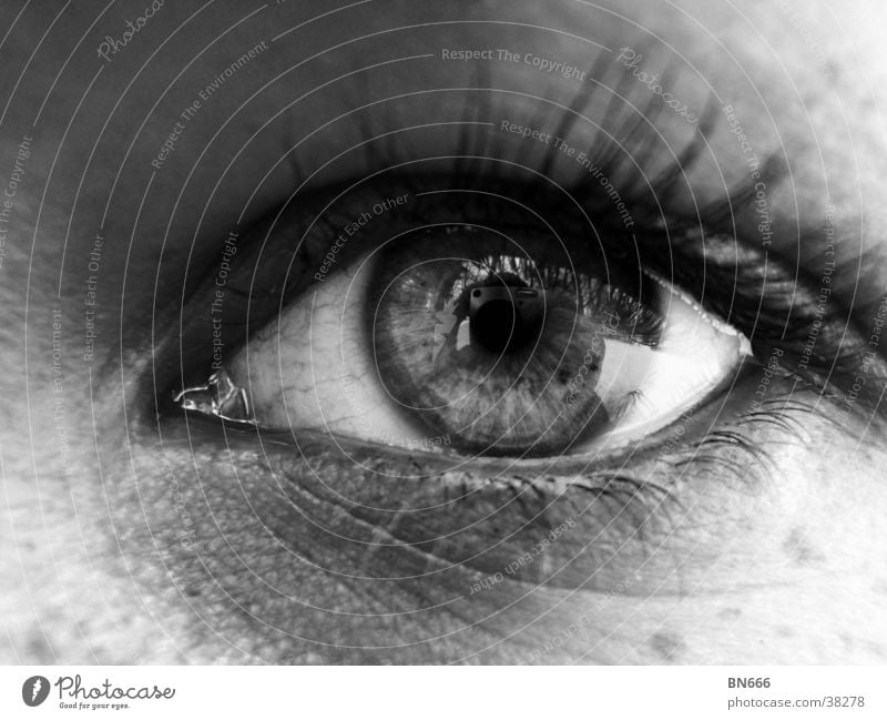 The eye! Feminine Woman Eyes Black & white photo Clarity