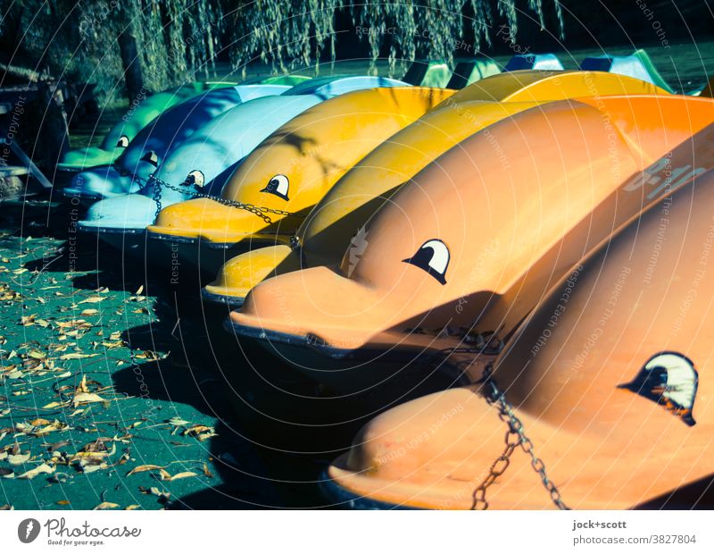 colourful pedal boats before their winter sleep Pedalo Watercraft Autumn foliage variegated Dry storage eyes Comic Autumnal Chained up Dolphin Season Footbridge