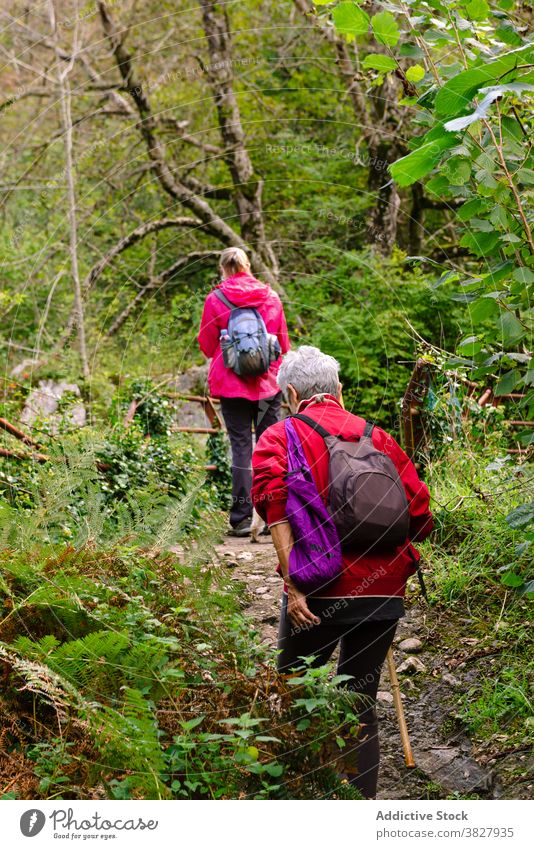 Anonymous trekkers exploring highland hiker friend explore nature backpack travel women pole traveler greenery rucksack trip wanderlust grow plant partner