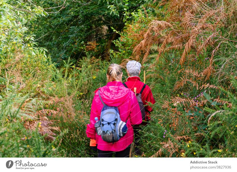 Anonymous trekkers exploring highland hiker friend explore nature backpack travel women pole traveler greenery rucksack trip wanderlust grow plant partner