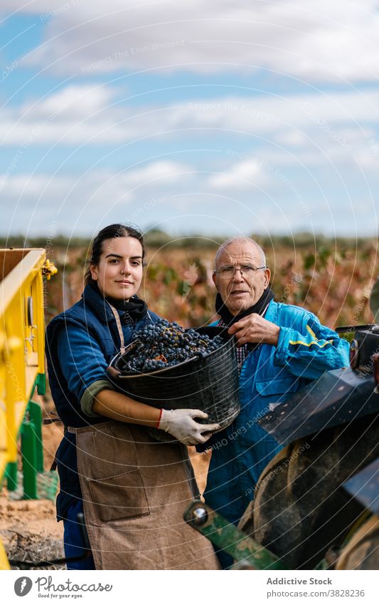 Winegrower and daughter with bucket of grapes in countryside winegrower harvest horticulture cultivate father sky cloudy together trailer summer uniform pile