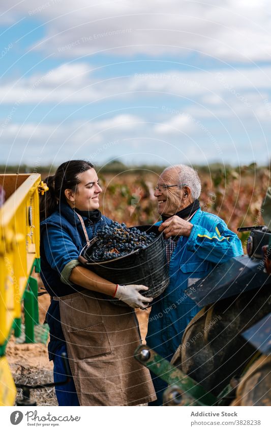 Winegrower and daughter with bucket of grapes in countryside winegrower harvest horticulture cultivate father sky cloudy together trailer summer uniform pile