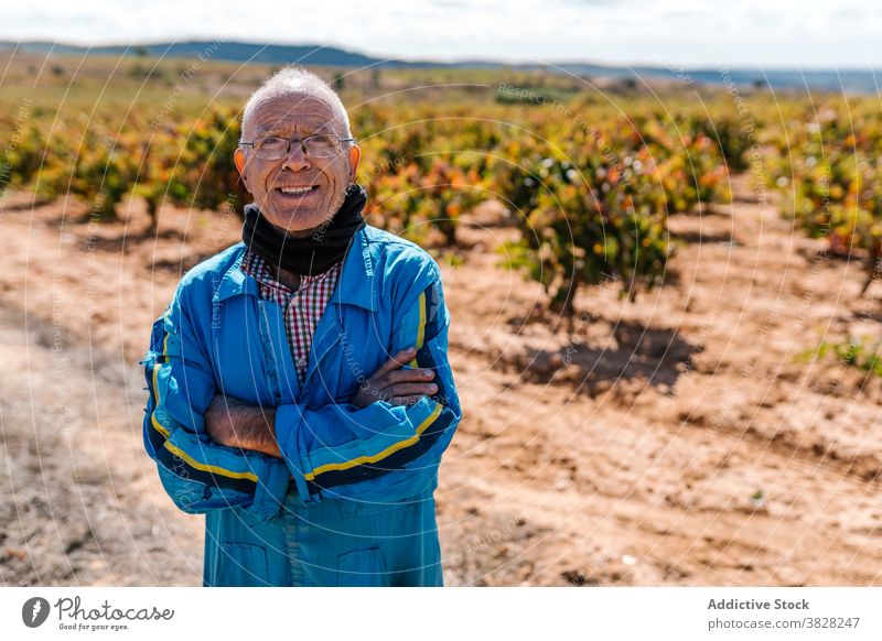 Smiling senior winegrower standing in vineyard smile eyeglasses horticulture grape harvest summer countryside portrait man blue uniform pile heap cheerful