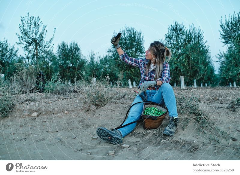 Happy farmer with olive harvest taking selfie plantation woman smartphone agriculture rural mobile share take photo photography shoot female satisfied adult