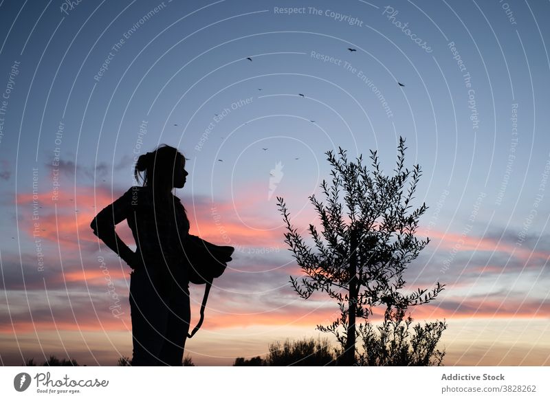 Unrecognizable woman in countryside at sunset silhouette farmer sundown evening rural village nature female garden idyllic harmony tranquil twilight calm