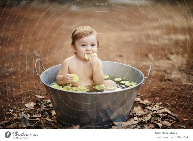 Adorable toddler child eating lemons in metal bath childhood enjoy naked charming innocent baby birthday celebrate sand land citrus fruit slice ripe fresh