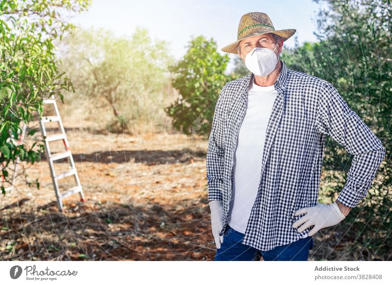 Male farmer in protective mask in farm man gardener horticulture fruit agriculture cultivate vegetate plant grow covid male coronavirus covid19 growth green