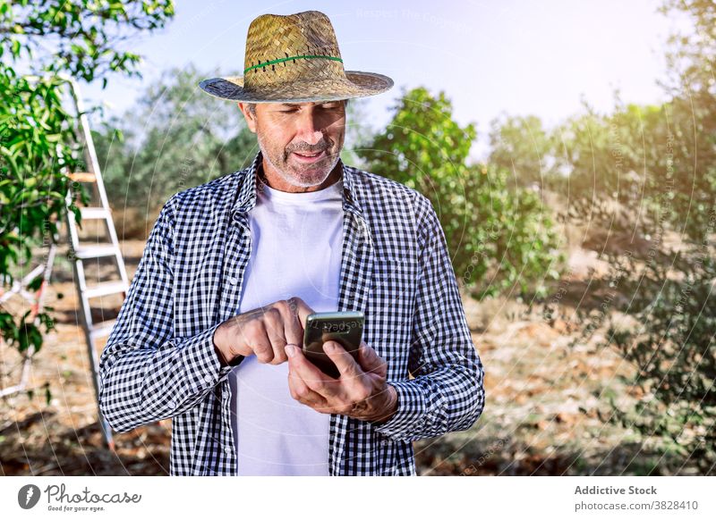 Pensive mature farmer using smartphone in farm man busy agriculture call conversation garden harvest male farmland gardener grow ripe vegetate plantation