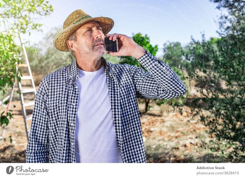 Pensive mature farmer talking on smartphone in farm man busy agriculture call using conversation garden harvest male farmland gardener grow ripe vegetate