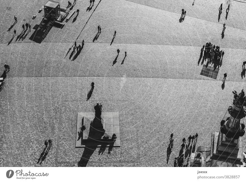 View from the foreshore perspective of a square with people, black and white pavement Places Marketplace New market Dreden Bird's-eye view Exterior shot Town