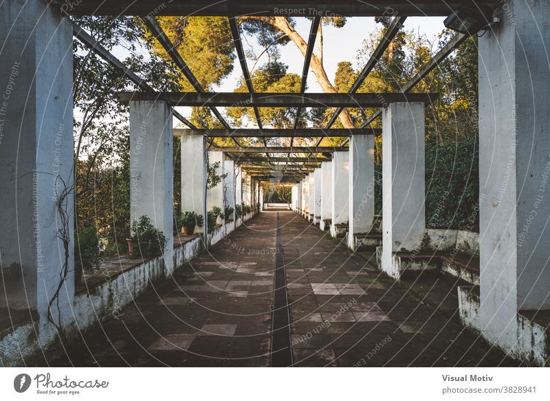 Symmetrical view of the passageway of a romantic style garden covered by an old pergola architecture front pillars wooden structure beams columns geometric