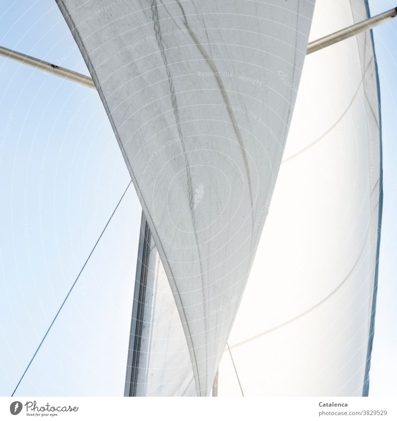 Inflated | the wind the sails of the yacht Sail headsail mainsail Pole saling Sky sailing yacht Sailboat Sailing Wind Freedom evening tax locomotion