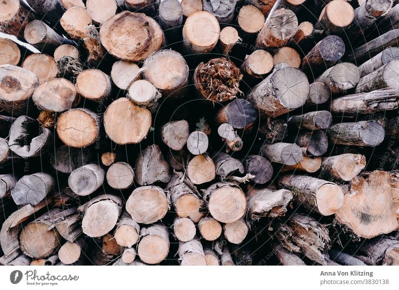 stack of wood Wood Stack of wood Tree trunk tree trunks Firewood Forestry Logging Environment Nature Timber Exterior shot Fuel Deserted Colour photo Raw Round
