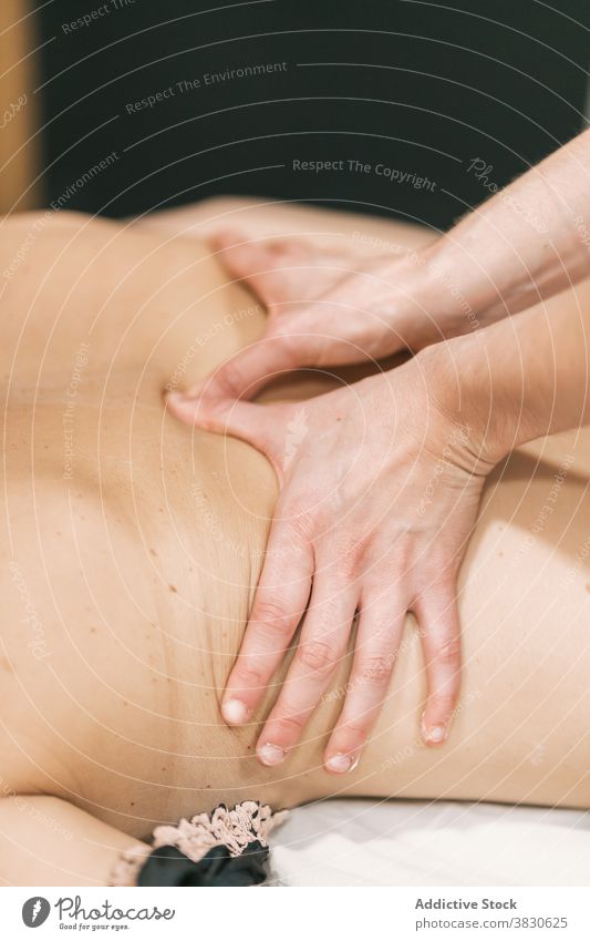 Crop therapist massaging back of client rehabilitation massage therapy patient physiotherapist physiotherapy session clinic treat care healthy naked wellbeing