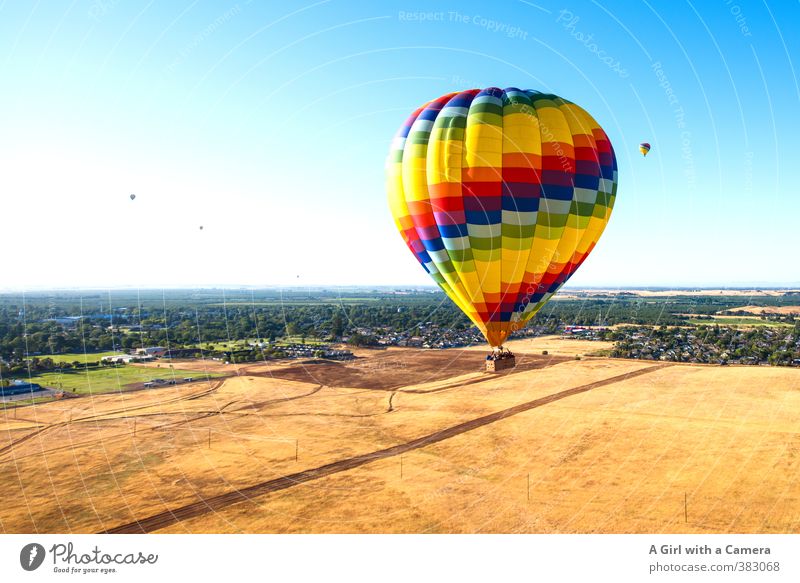I thought I'd begin Environment Nature Landscape Summer Field Friendliness Tall Round Multicoloured Hot Air Balloon Leisure and hobbies Hover Napa Valley