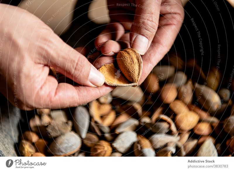 Hands with opened almond nutshell person hand kernel heap food organic fresh pile vegetarian vegan nutrition ingredient protein healthy food diet ripe lifestyle