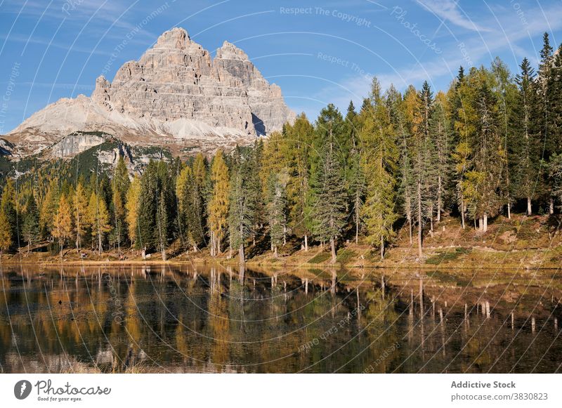 Lake in forest against mountain peak in summer lake coniferous range highland sunny landscape the dolomites italy calm water tranquil evergreen picturesque