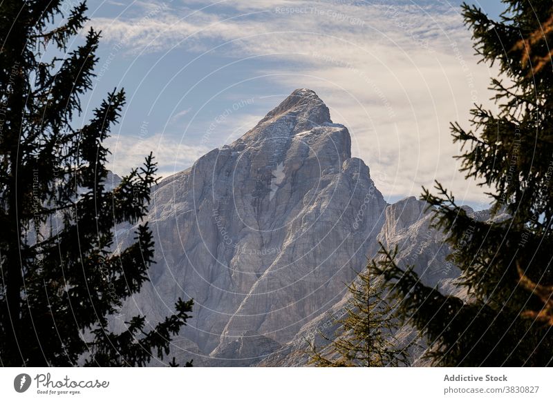 Rocky majestic snowy mountain near spruce rocky stone high picturesque coniferous forest cloudy bright dolomites italy sky scenery green nature tranquil
