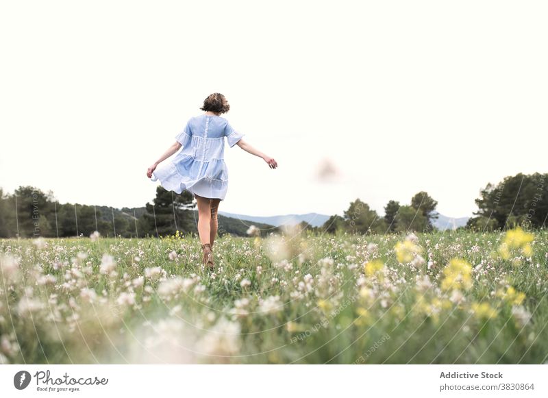 Faceless woman walking in field of flowers in summertime stroll meadow allure romantic freedom female arms apart grass forest nature daytime valley slope hill