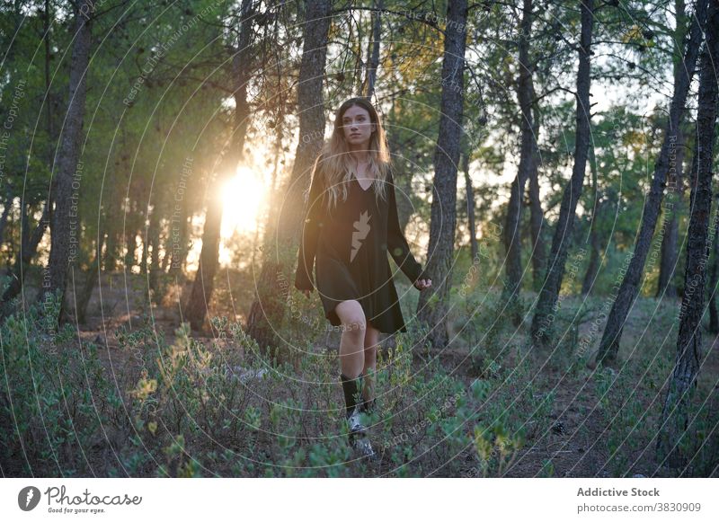 Young woman standing in autumn forest woods nature dress long hair sunlight season woodland cold female meadow sunny fall young environment travel hike