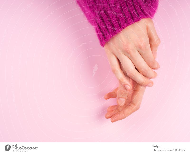 Female hands in magenta sweater on pink care palm skin tangible background female flat lay above woman tactile cuddle caresse touch winter monochrome christmas