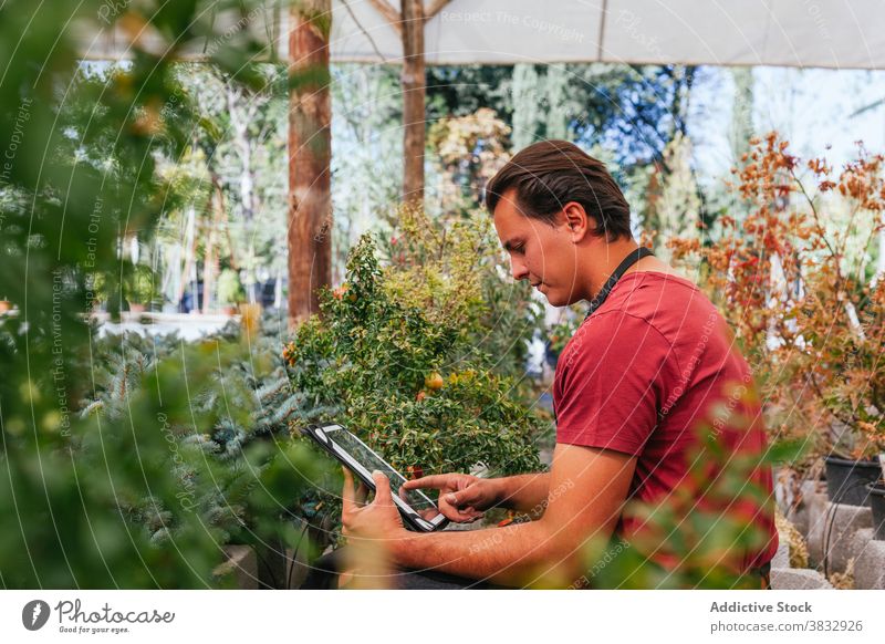 Young man using tablet in greenhouse plant pomegranate concentrate focus browsing device male garden brown hair punica serious work check gadget guy daytime