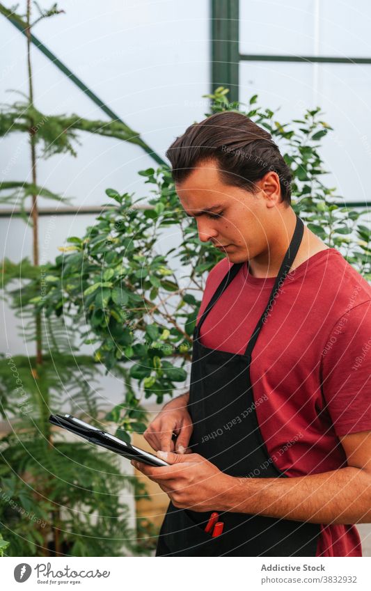 Young man using tablet in greenhouse plant pomegranate concentrate focus browsing device male garden brown hair punica serious work check gadget guy daytime