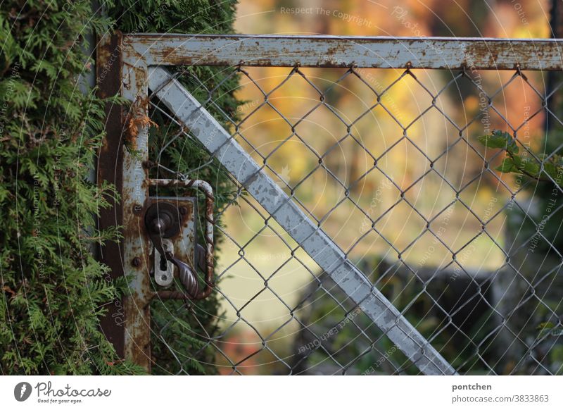A rusty garden fence with a hedge in front of a garden. Barrier, property Garden fence Fence Hedge Nature Possessions Real estate Autumn Key cordoned off Lock