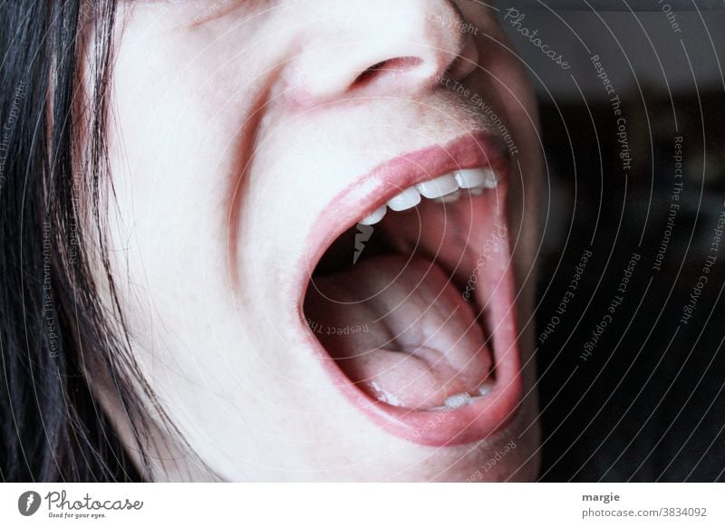 An open woman's mouth that screams Mouth Teeth Tongue Open Mouth open Nose Woman Lips Human being Skin Fear Scream Squaller Anger Head Aggravation Pain