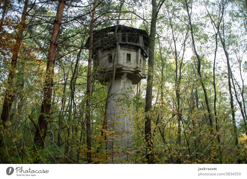 old watchtower in the middle of the forest Forest Nature Tree Autumn lost places Architecture Decline Ruin Past Derelict Historic covert Concealed Watch tower