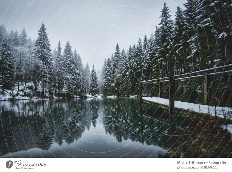 Forest lake in winter Pfanntalsteich oberhof Thuringia Thueringer Wald Lake Water Winter Snow Footbridge trees rail Reflections Nature Landscape Idyll