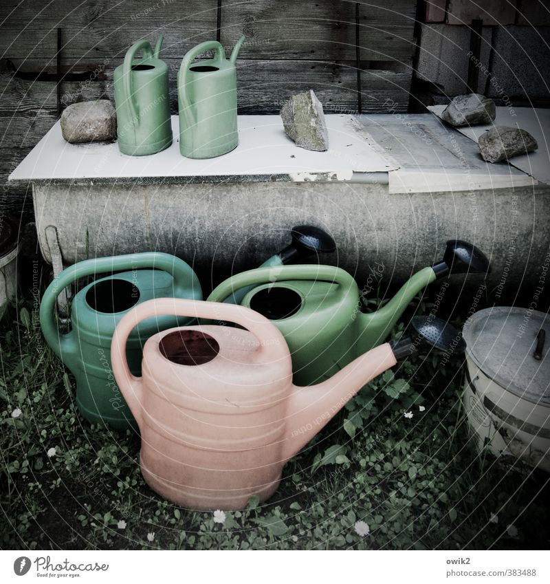 watering can principle Watering can Plastic Wash tub Stand Wait Colour photo Subdued colour Exterior shot Detail Deserted Day Central perspective Long shot