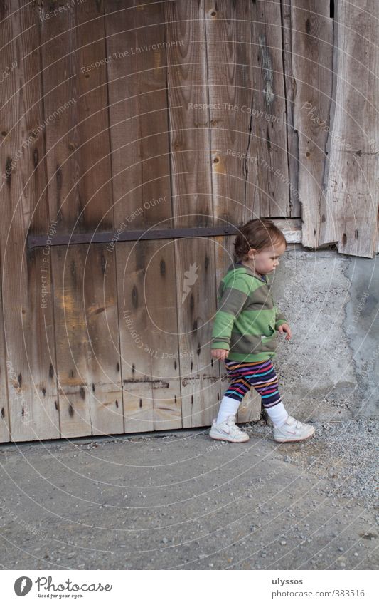 I'm going Toddler Girl 1 - 3 years Sneakers Brunette Concrete Wood Going Brown Multicoloured Gray Infancy Colour photo Exterior shot Copy Space top