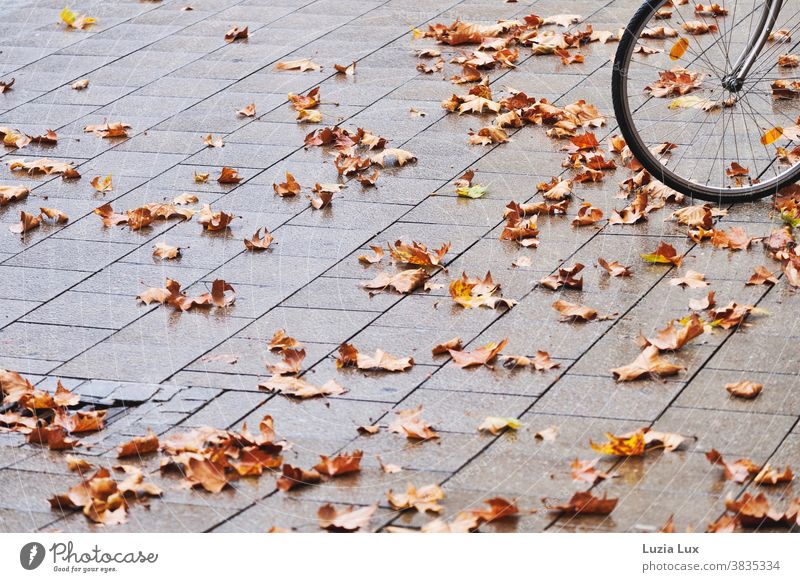 Front wheel of a bicycle with autumn leaves Bicycle pavement Paving stone Gray Brown Autumn Autumn leaves Gloomy rainy rainy weather Orange Exterior shot