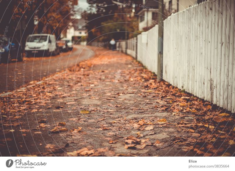 Autumn pavement in a residential area with leaves on the ground Sidewalk foliage Residential area Fence Wet Autumnal Street off