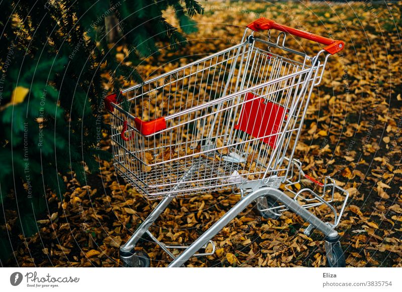 Shopping trolley stands in the nature Shopping Trolley Nature Forest Tree stolen Consumption Sustainability foliage Autumn out Empty