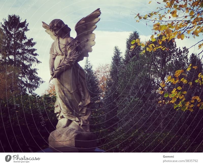 Angel on a cemetery Statue Sculpture angel wings Cemetery Autumn Grave tranquillity contemplation Belief consolation Eternity Sadness Transience Marble