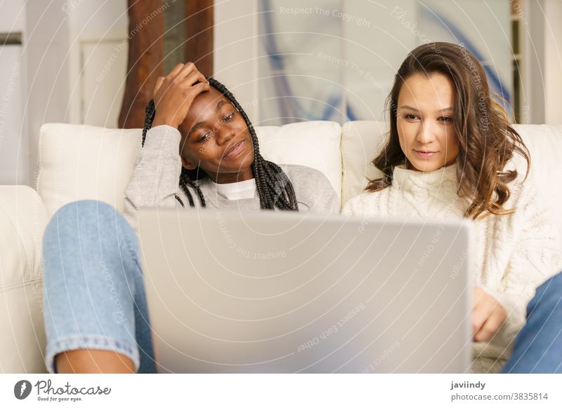 Two female student friends sitting on the couch at home using a laptop. women multiethnic computer multiracial house black afro lifestyle girl smile two fun