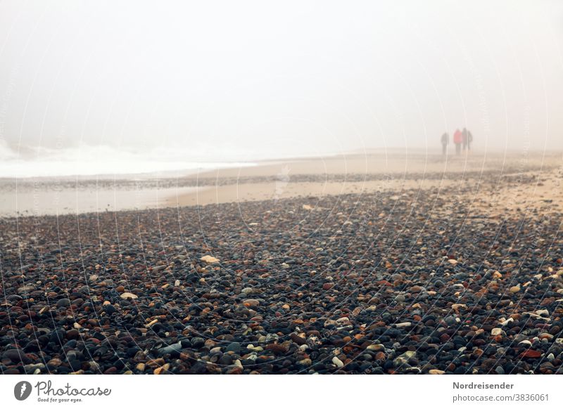 Beach walk in the fog at the Baltic Sea Rear view Day Copy Space bottom Copy Space top Exterior shot Colour photo Harden Common cold Fitness North Sea Fog