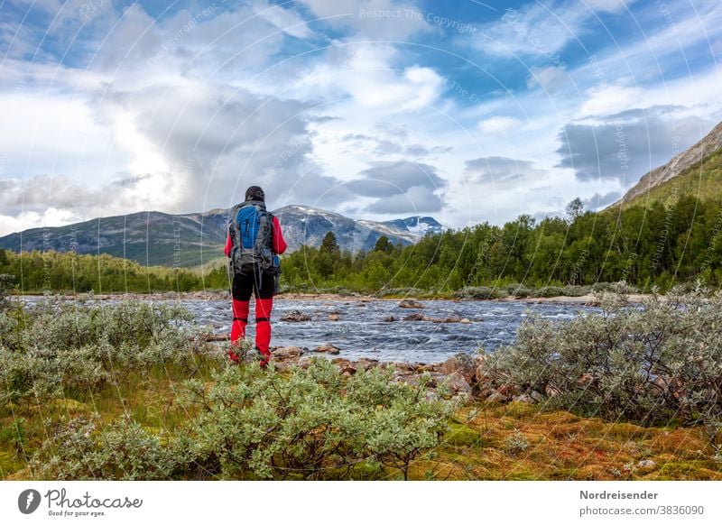 Backpacking in the wilderness of Scandinavia Woman Hiking trekking Adventure voyage Water In transit Wilderness Camping River Break time-out Forest mountains